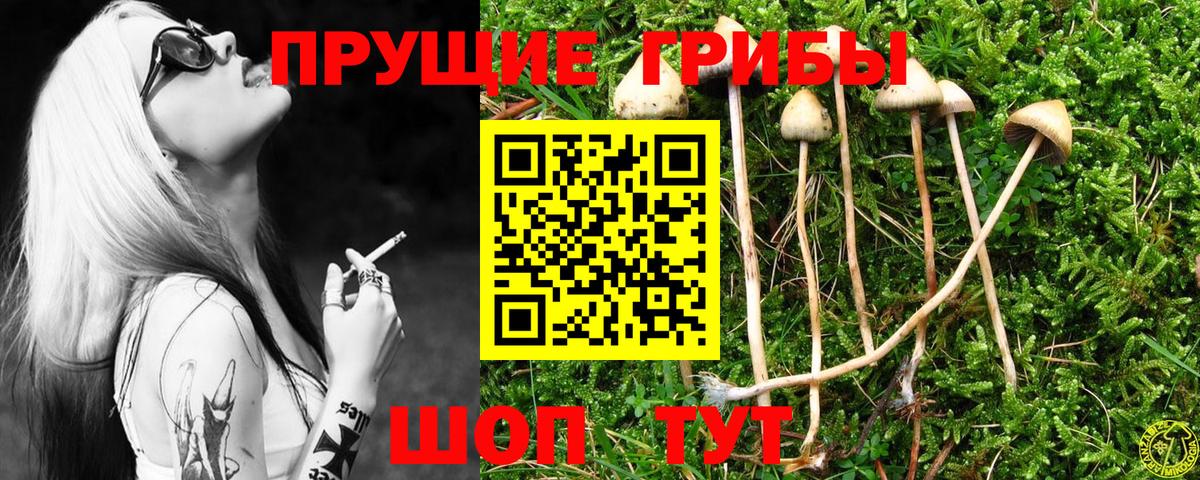 Клинцы  Псилоцибиновые грибы ЛСД  Псилоцибиновые грибы MAGIC MUSHROOMS  Вход с VPN 
